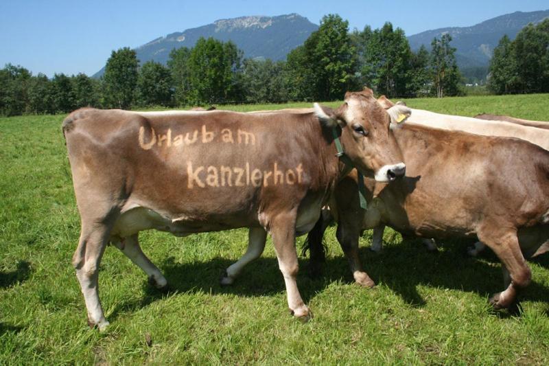 Kanzlerhof Bad Mitterndorf Exteriér fotografie